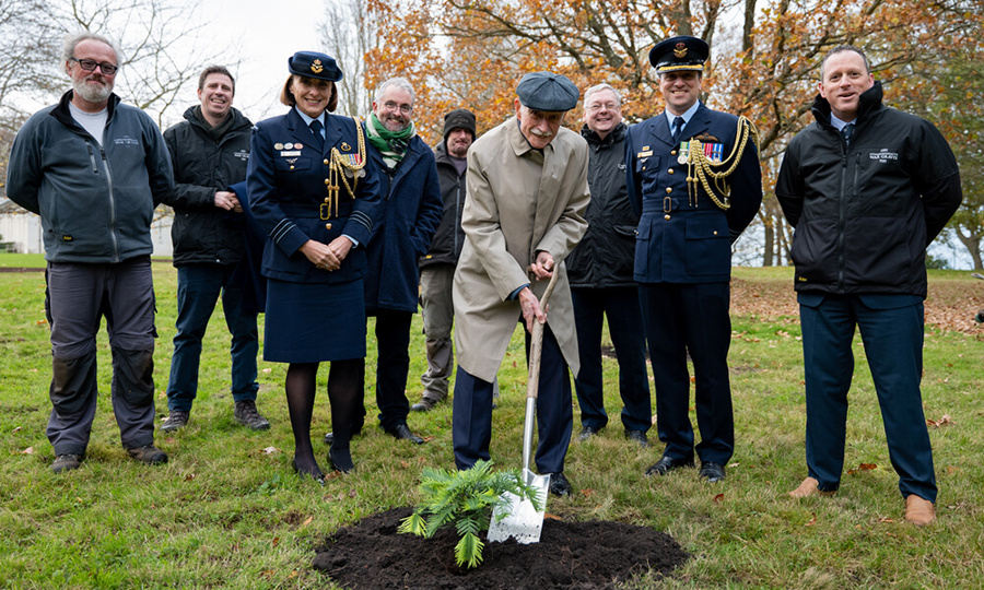 Planting pine trees at Runnymede Airforces Memorial