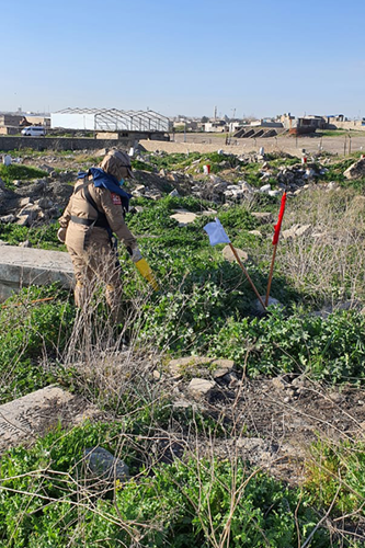 Work at Mosul War Cemetery
