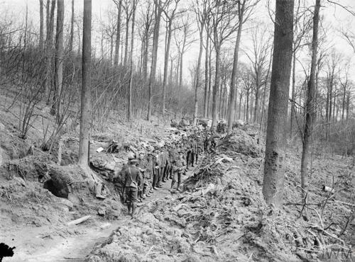 Canadian Expeditionary Force soldiers assemble in a wood.