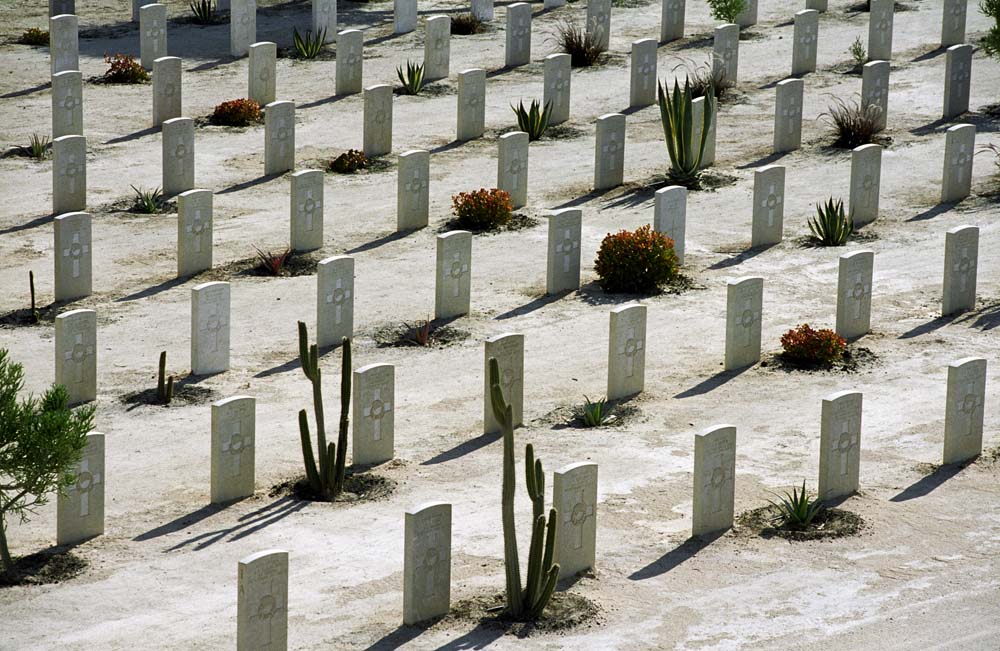 A row of white CWGC headstones in El Alamein War Cemetery casting short settings.