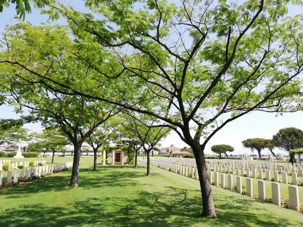 Tall green trees and central Romanesque shelter in Salerno War Cemetery