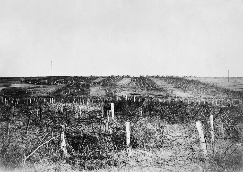 Image shows a think entanglement of barbed wire posts and nests before a trench network on the Western Front.