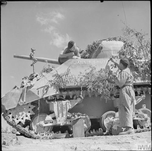 South African tankers decorating their Sherman tank. The tank has bee camouflaged with shrubbery.