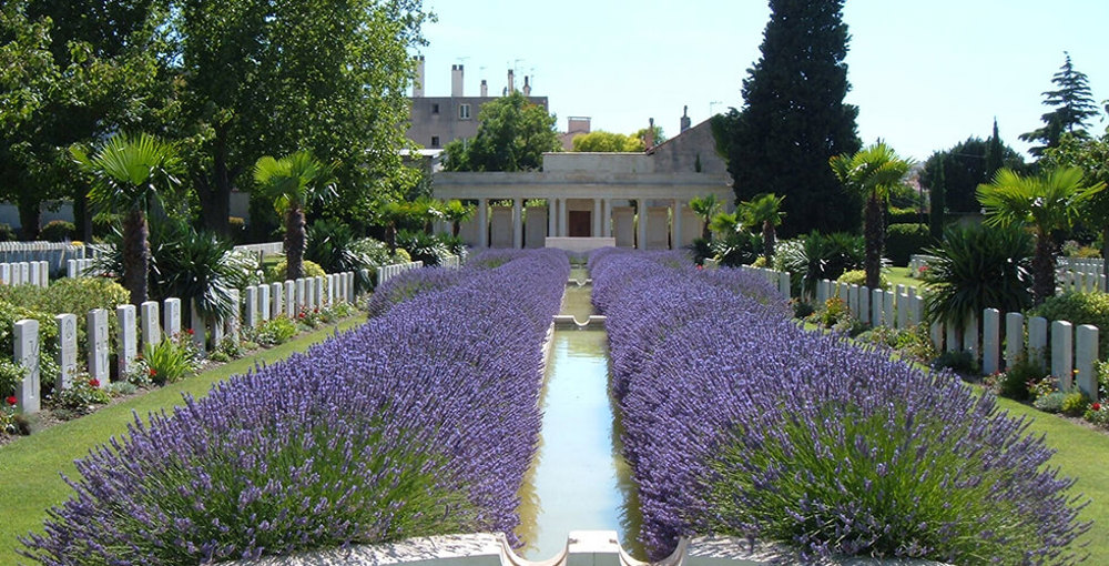 Mazargues War Cemetery with lavender plants