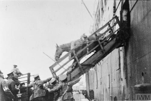 A horse in bridle and tack is encouraged by British soldiers to disembark down a wooden gangway off a transport ship.