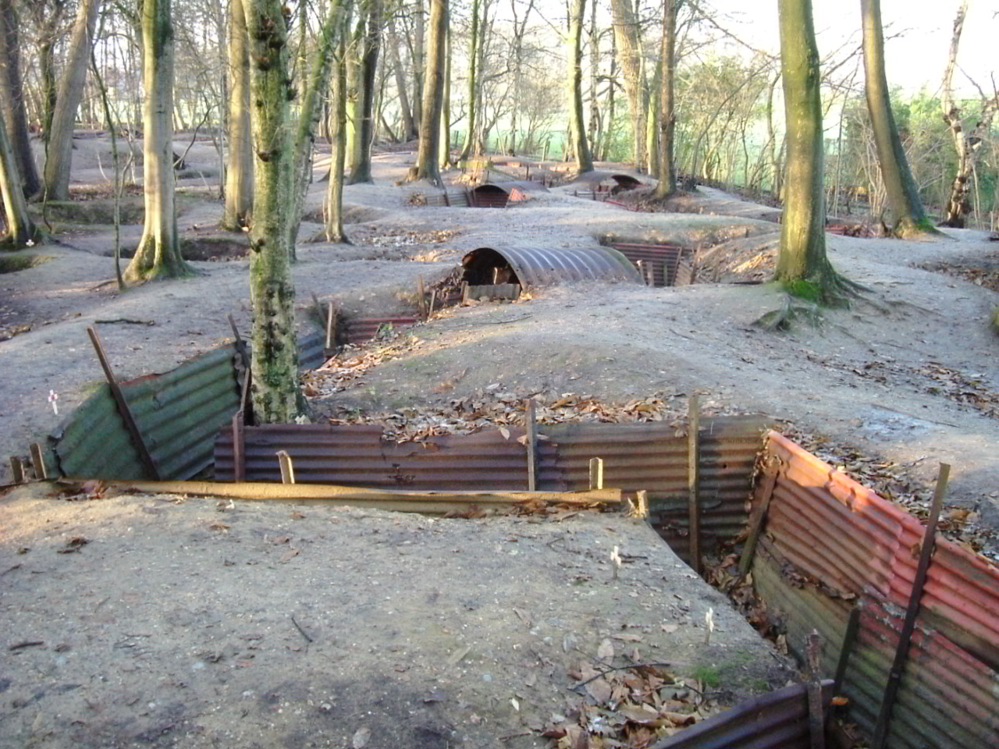 A modern day photo of preserved trenches in Sanctuary Wood. You can see rusting corrugated iron panelling lining the trenches. A series of tall trees sit on the high ground outside the trench network.